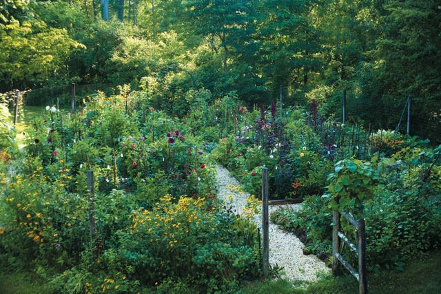F. palmer garden photo by julie curtis 2011 640 xxx q85