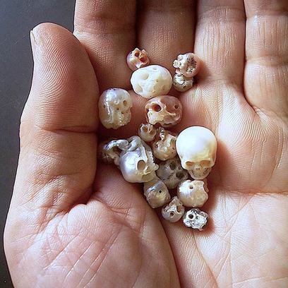 Pearl skulls shinji nakaba 18 408 xxx q85