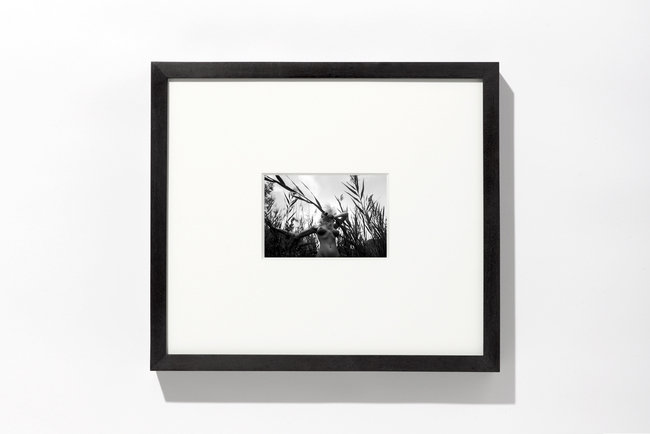 Elle framed 13388 650 xxx q85